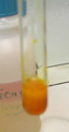 Photo du tube à essai contenant le liquide organique, ajout de quelques gouttes de DNPH